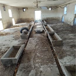 Na prenájom skladové priestory, prípadne výrobné priestory Cabaj-Čápor pri Nitre