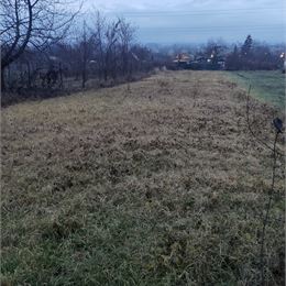 Na predaj pozemok na výstavbu viničného domu alebo na bývanie