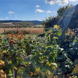 Predaj, rodinný dom Hontianske Tesáre, Dvorníky, s pozemkom 1630 m² - ZNÍŽENÁ CENA - IBA U NÁS