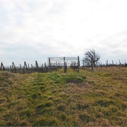 Predaj, chata Modrany, s vinohradom na pozemku o rozlohe 1208 m² - ZNÍŽENÁ CENA