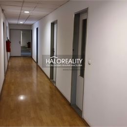 Prenájom, administratívny priestor Topoľčany - EXKLUZÍVNE HALO REALITY