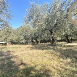 Pozemok – olivový háj – Medulin, 2.808m2