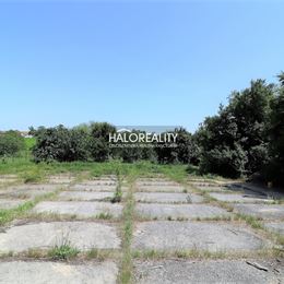 Predaj, výrobný priestor - pálenica s pozemkami Kolta - EXKLUZÍVNE HALO REALITY