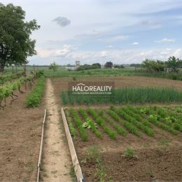 Predaj, pozemok pre rodinný dom 600m² Golianovo