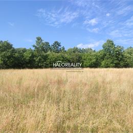 Predaj, pozemok pre rodinný dom 928m² Pliešovce - IBA U NÁS