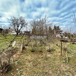 Predaj, rekreačný pozemok Šahy, záhrada s dreveným viničným domčekom
