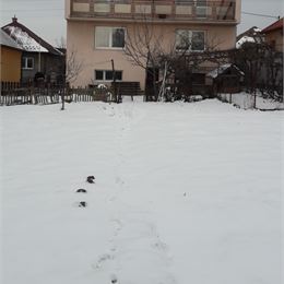 Predaj domu so záhradou v Prešove na Solivare - znížená cena