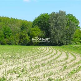 Predaj, pozemok 12815m² Orechová Potôň, Dolná Potôň, Dolná Potôň, pri Malom Dunaji - ZNÍŽENÁ CENA