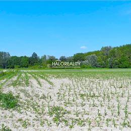 Predaj, pozemok 12815m² Orechová Potôň, Dolná Potôň, Dolná Potôň, pri Malom Dunaji - ZNÍŽENÁ CENA