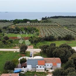 Obchodní prostor – restaurace – Barbariga, Vodnjan, 91m2