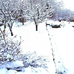 TUreality ponúka na predaj záhradu s chatkou s krásnym výhľadom Malé Kršteňany 442m2