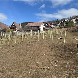 REZERVOVANÉ ! KRÁSNY SLNEČNÝ POZEMOK - VIŇANKA - ZEMPLÍNSKA ŠÍRAVA