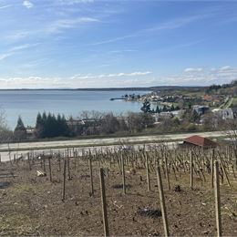 REZERVOVANÉ ! KRÁSNY SLNEČNÝ POZEMOK - VIŇANKA - ZEMPLÍNSKA ŠÍRAVA