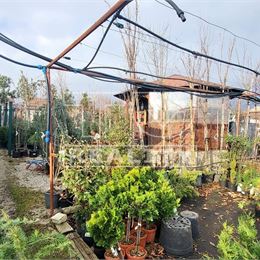  atraktívny stavebný POZEMOK, Budmerice, 892 m2