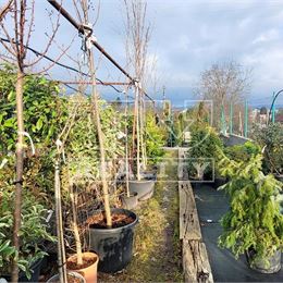  atraktívny stavebný POZEMOK, Budmerice, 892 m2