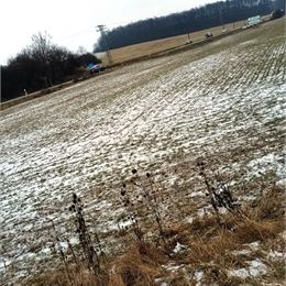 TUreality ponúka na predaj pozemok vhodný na stavbu na komerčné účely 3191m2,obec Svinná