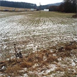 TUreality ponúka na predaj pozemok vhodný na stavbu na komerčné účely 3191m2,obec Svinná