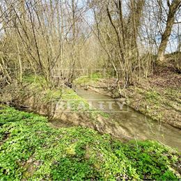Pozemok s vlastným potokom, 8527m2, Prašník, okr.Piešťany