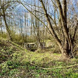 Pozemok s vlastným potokom, 8527m2, Prašník, okr.Piešťany