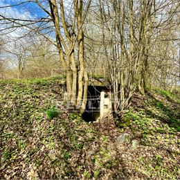 Pozemok s vlastným potokom, 8527m2, Prašník, okr.Piešťany