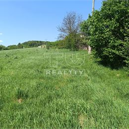 STAVEBNÝ POZEMOK PÚCHOV : VIESKA-BEZDEDOV 3024m²
