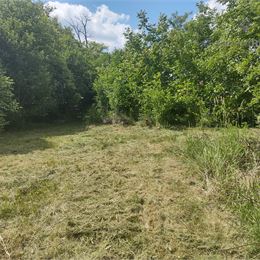 Zľava 10.000 eur!!!Na predaj rodinný dom s veľkým pozemkom Lúčnica nad Žitavou - Vajka