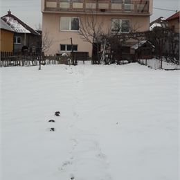 Predaj domu v Prešove na Solivare - výrazne znížená cena