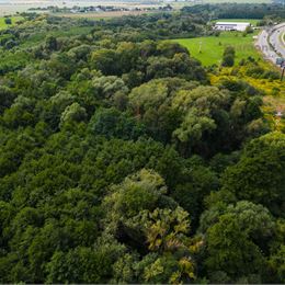 Na predaj pozemok 1.5 ha pri OPTIME