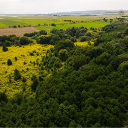 Na predaj pozemok 1.5 ha pri OPTIME