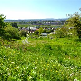 Stavebný pozemok Košice, 1935m2, projekt, stavebné povolenie, vizualizácia RD v cene