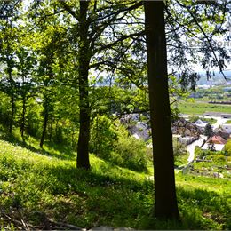 Stavebný pozemok Košice, 1935m2, projekt, stavebné povolenie, vizualizácia RD v cene