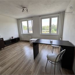 GARSÓNKA S VÝHĽADOM NA LABOREC