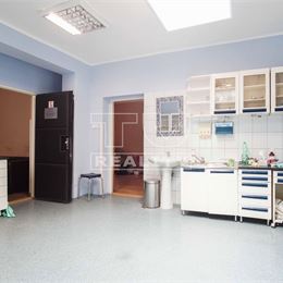 Rodinný dom na podnikateľské účely aj na bývanie v centre, Dvory nad Žitavou, 829m2