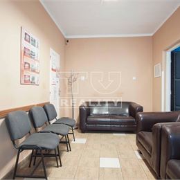 Rodinný dom na podnikateľské účely aj na bývanie v centre, Dvory nad Žitavou, 829m2