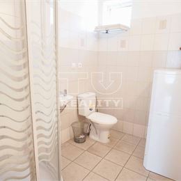 Rodinný dom na podnikateľské účely aj na bývanie v centre, Dvory nad Žitavou, 829m2
