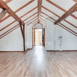 Rodinný dom na podnikateľské účely aj na bývanie v centre, Dvory nad Žitavou, 829m2