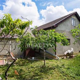 Rodinný dom na podnikateľské účely aj na bývanie v centre, Dvory nad Žitavou, 829m2