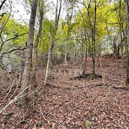 NA PREDAJ LES V KATASTRI BECKOV - 4316 M2 PRÍRODY, POKOJA, INVESTIČNÝCH MOŽNOSTÍ