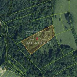 NA PREDAJ LES V KATASTRI BECKOV - 4316 M2 PRÍRODY, POKOJA, INVESTIČNÝCH MOŽNOSTÍ