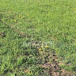 Na predaj pozemok vhodný na stavbu rodinného domu v obci Horné Chlebany, 475m2