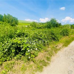 TUreality ponúka na predaj stavebný pozemok s rozlohou vyše 3400 m2, vhodný na stavbu rozľahlejšieho