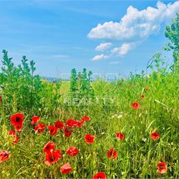 TUreality ponúka na predaj stavebný pozemok s rozlohou vyše 3400 m2, vhodný na stavbu rozľahlejšieho
