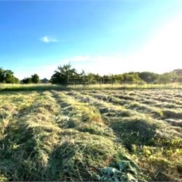 Pekný veľký pozemok pripravený pre výstavbu rodinného domu ** Borský Svätý Jur ** 911 m2