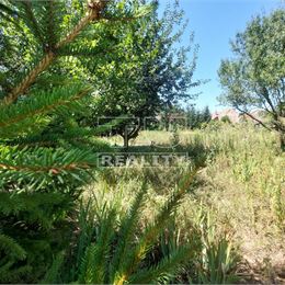 Na predaj 3 izbový rodinný dom v pôvodnom stave s krásnym veľkorysým pozemkom 3100 m2 Horné Obdokovce