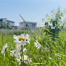 TUreality ponúka na predaj pozemok 2 km od centra Piešťan