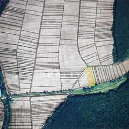 POZEMOK Orná pôda/ 3500 m2 / SKAČANY - Partizánske/ Príroda