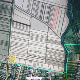 POZEMOK Orná pôda/ 3500 m2 / SKAČANY - Partizánske/ Príroda