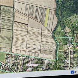 POZEMOK Orná pôda/ 3500 m2 / SKAČANY - Partizánske/ Príroda