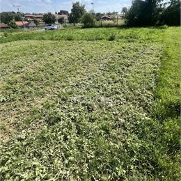 Exkluzívne na predaj stavebný pozemok v meste Beladice, 1000 m2