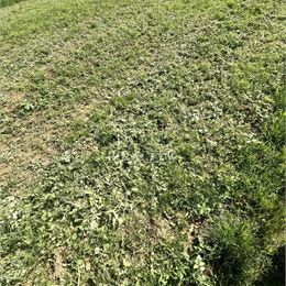 Exkluzívne na predaj stavebný pozemok v meste Beladice, 1000 m2